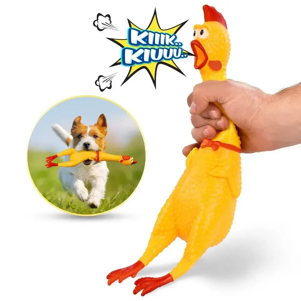 SqueezeyRubber chicken toy 4