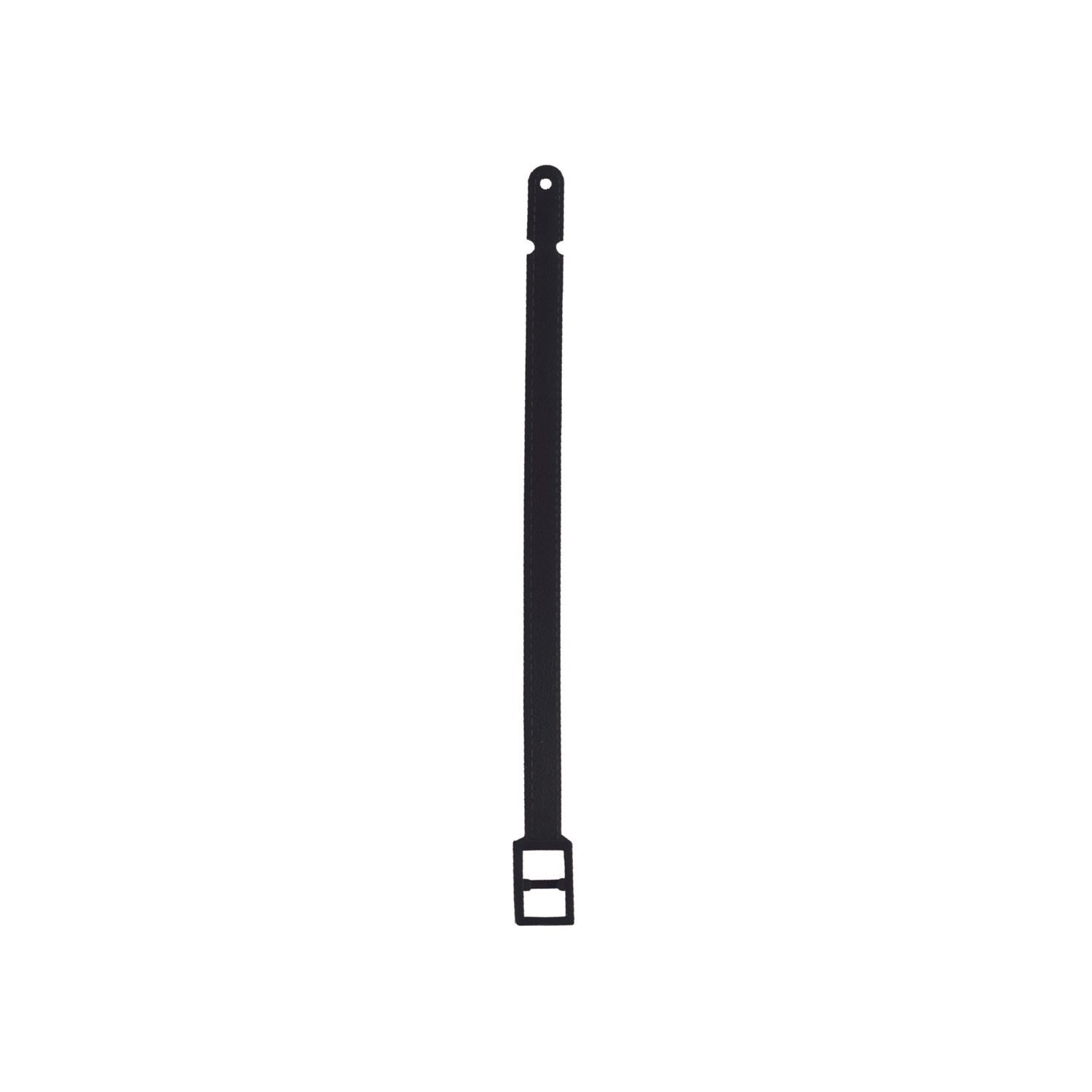 Lock Strap 3