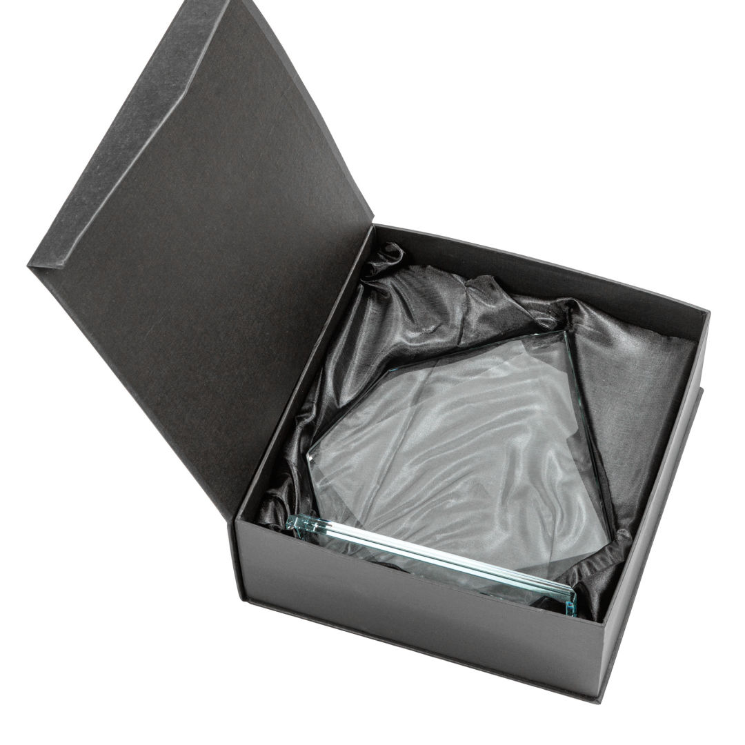 Lexus VividPrint™ Award - Red 8