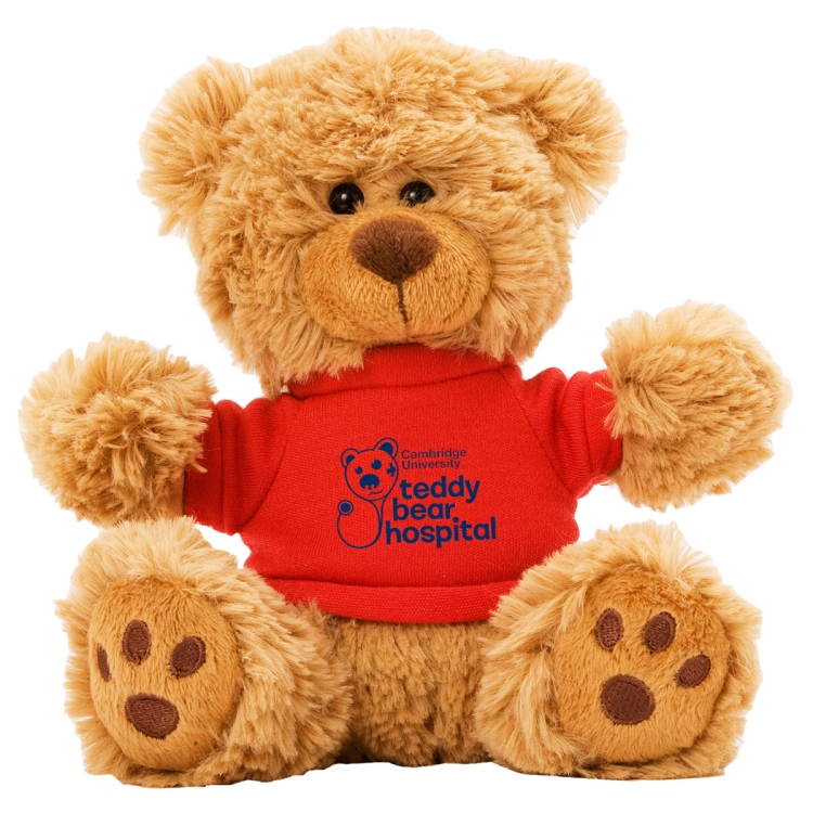 Ted T. Bear" 6" Plush Teddy Bear With Choice of T-Shirt Color 17