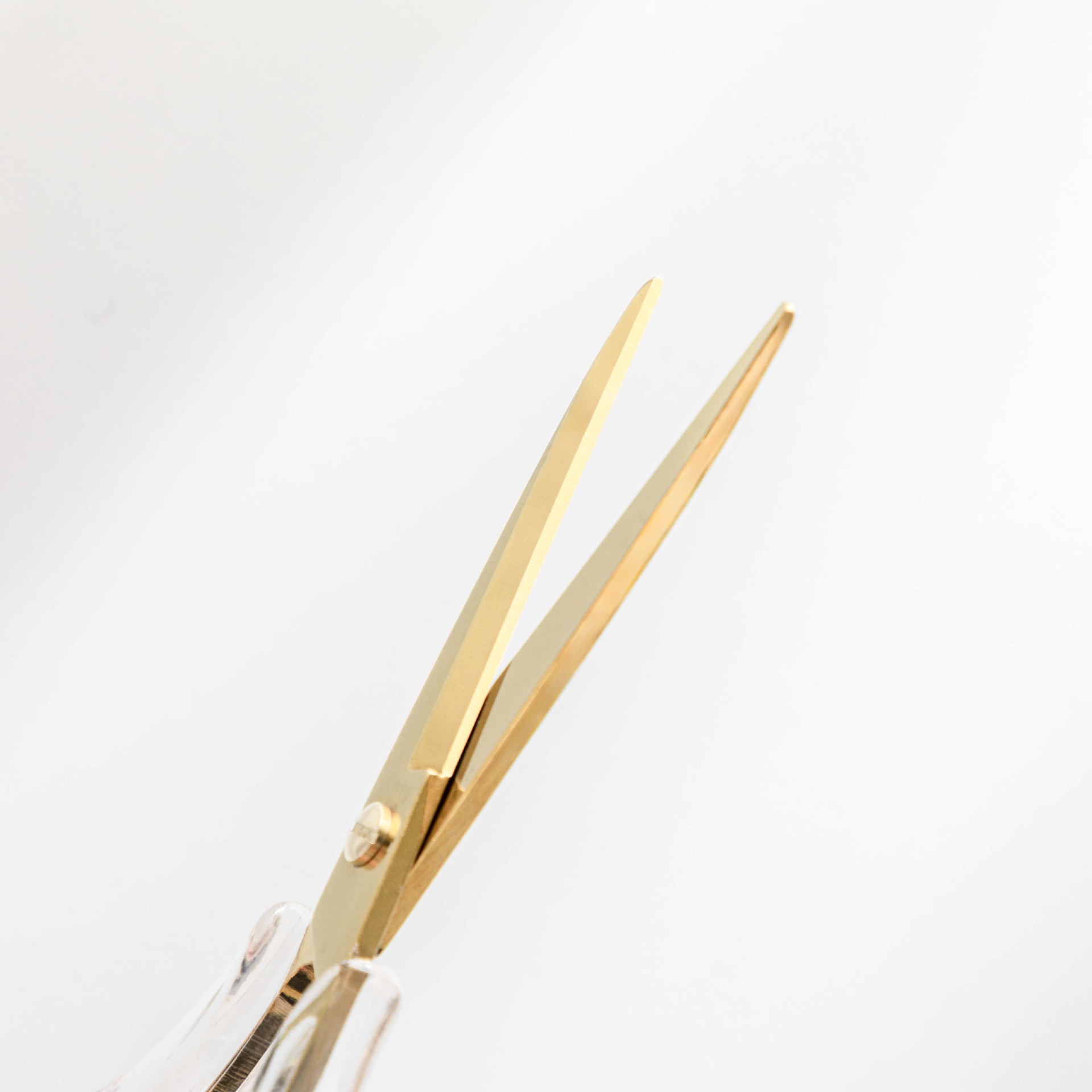 Clear Acrylic Scissors 3