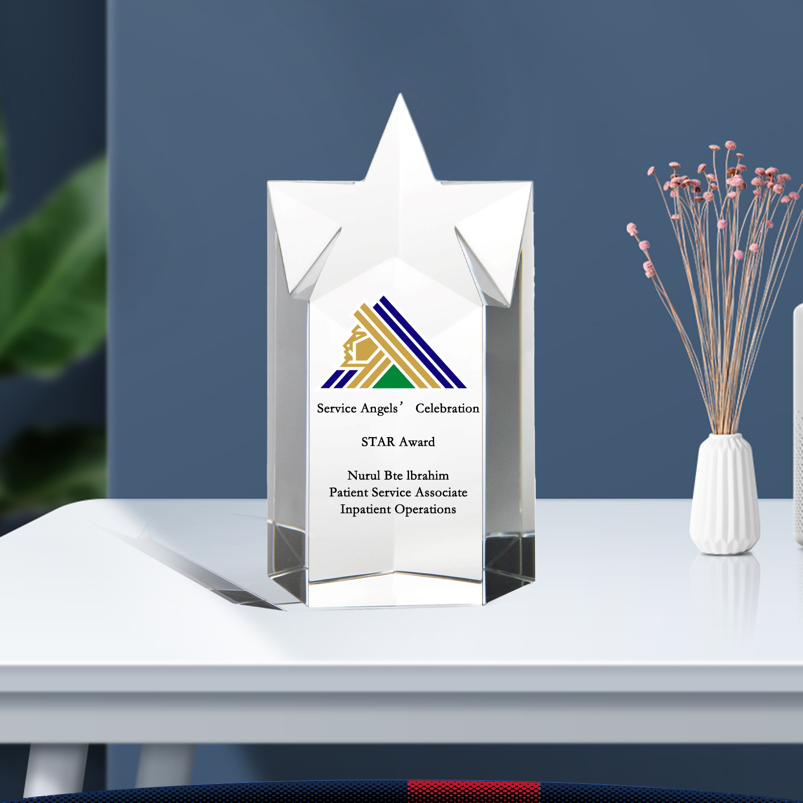 Lazar Star Award 5