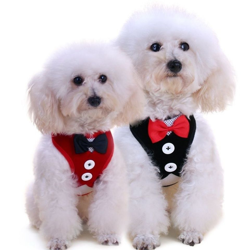 Elegant Bow Dog Collars Necktie Traction Rope Adjustable