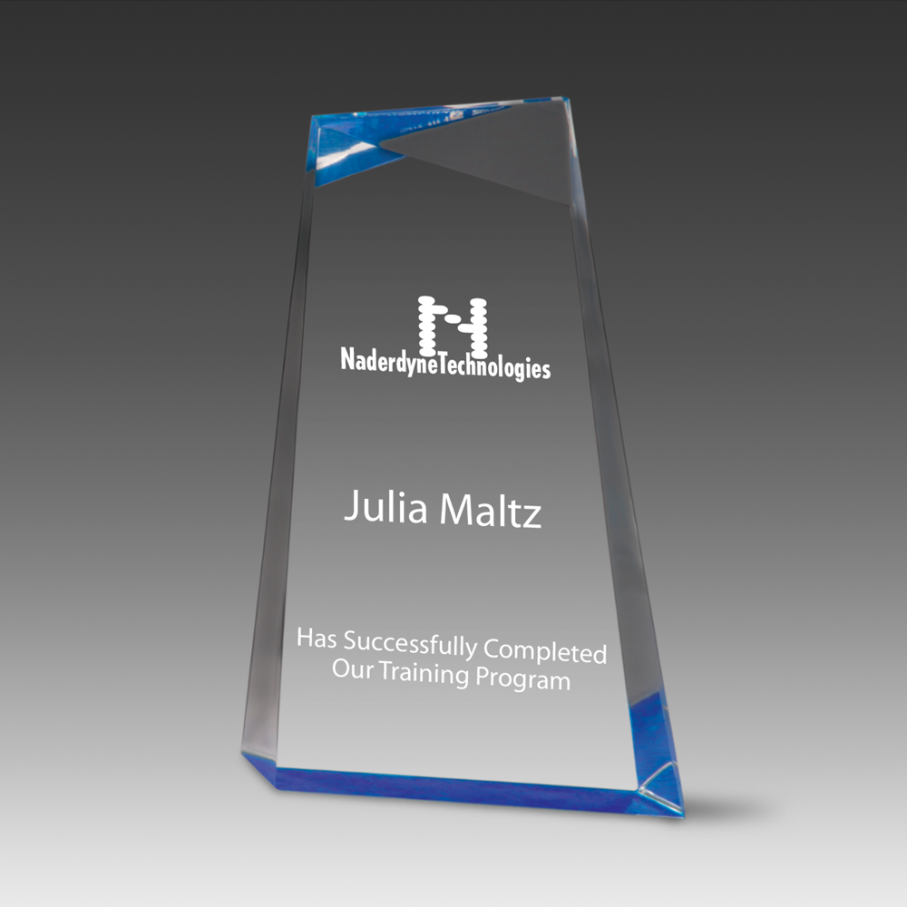 Wedge Facet Award (6"x9"x1") 1