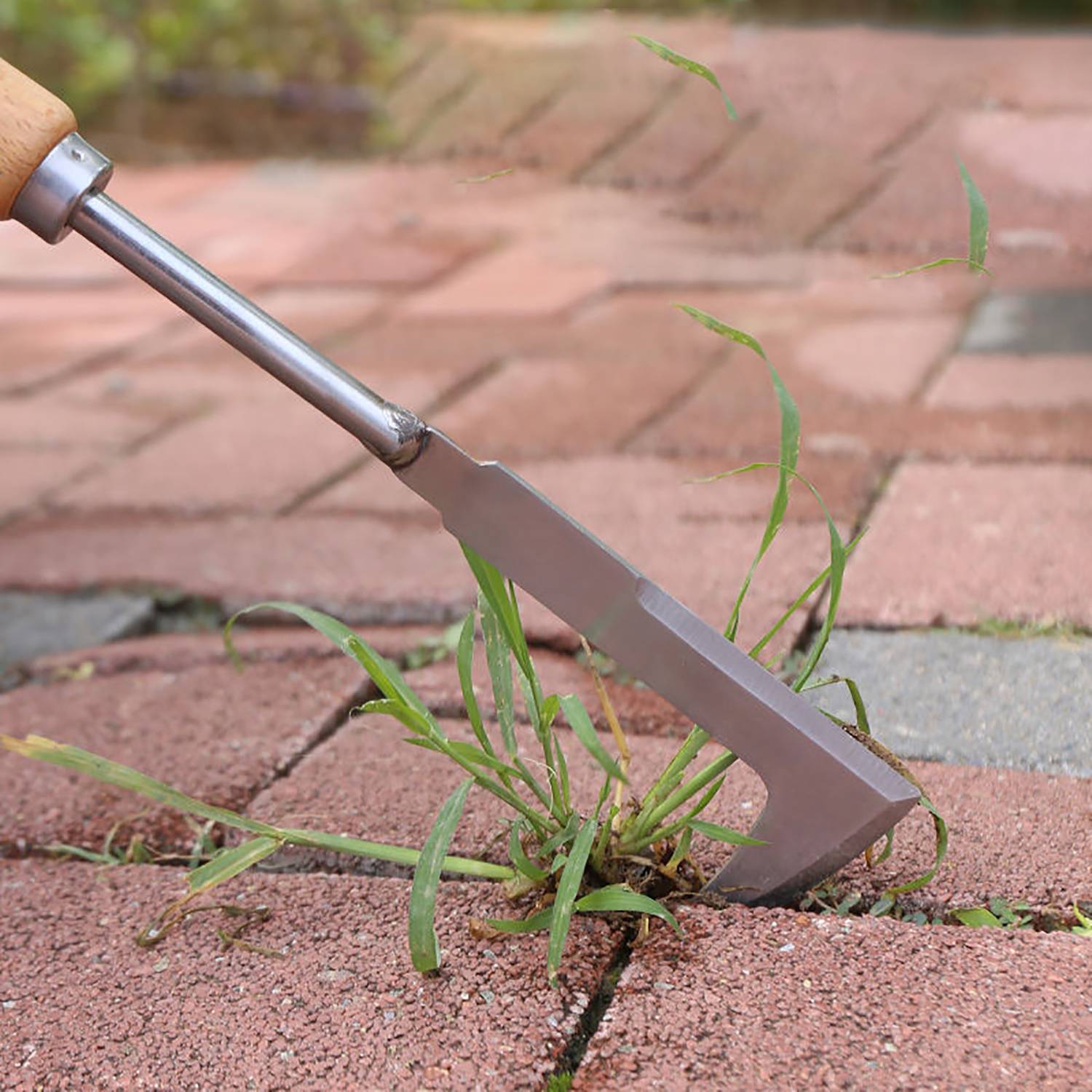 Stainless Steel Weeding Tool Gap Weeder 1