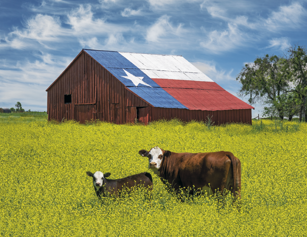Triumph® Calendars Texas Calendar 58