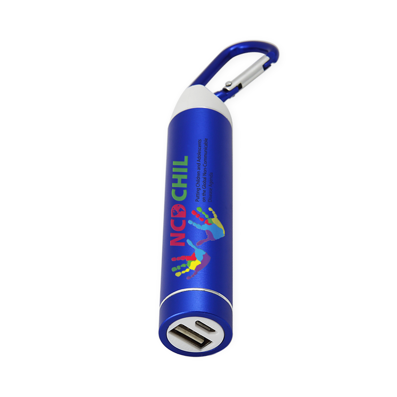 Edgewater Carabiner Standard Power Bank with UL Certified Battery 5