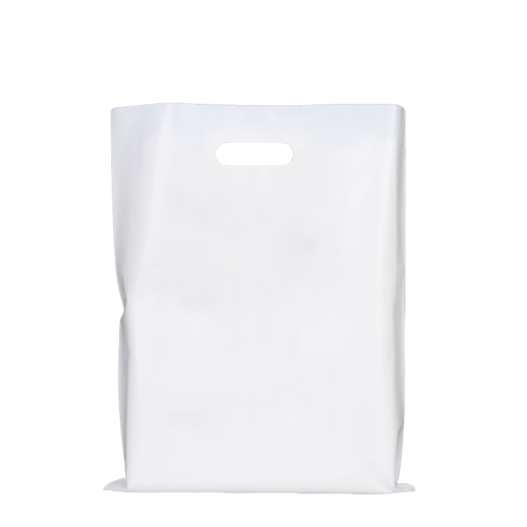 Polyethylene Die Cut Plastic Bag 9.8" x 13.8" 17