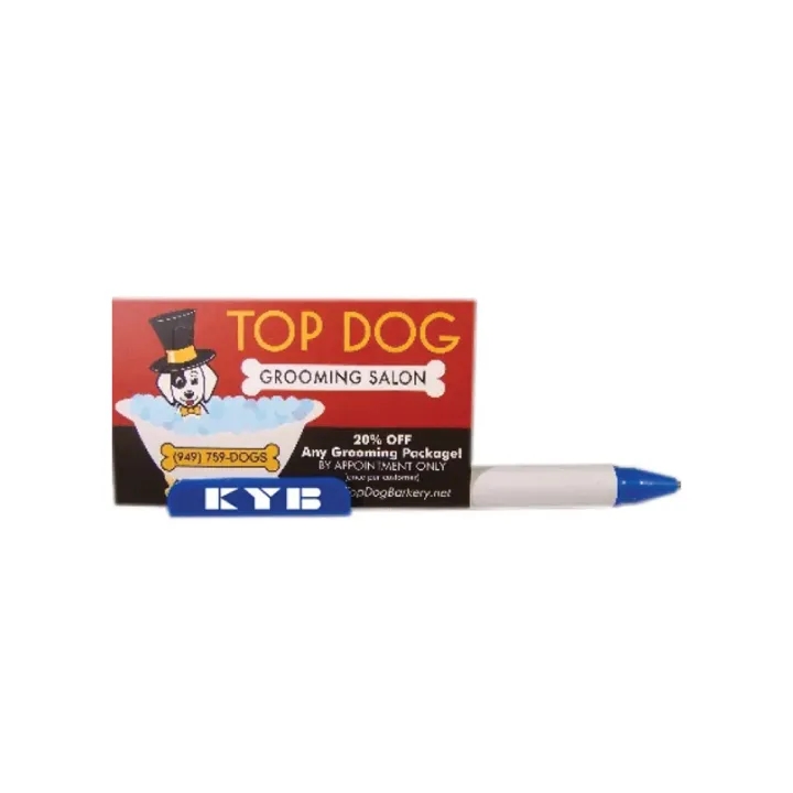 Book Pen (Blue Ink) 3