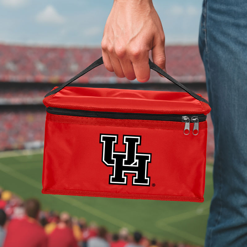 Custom Six Pack Lunch Cooler Bags 18