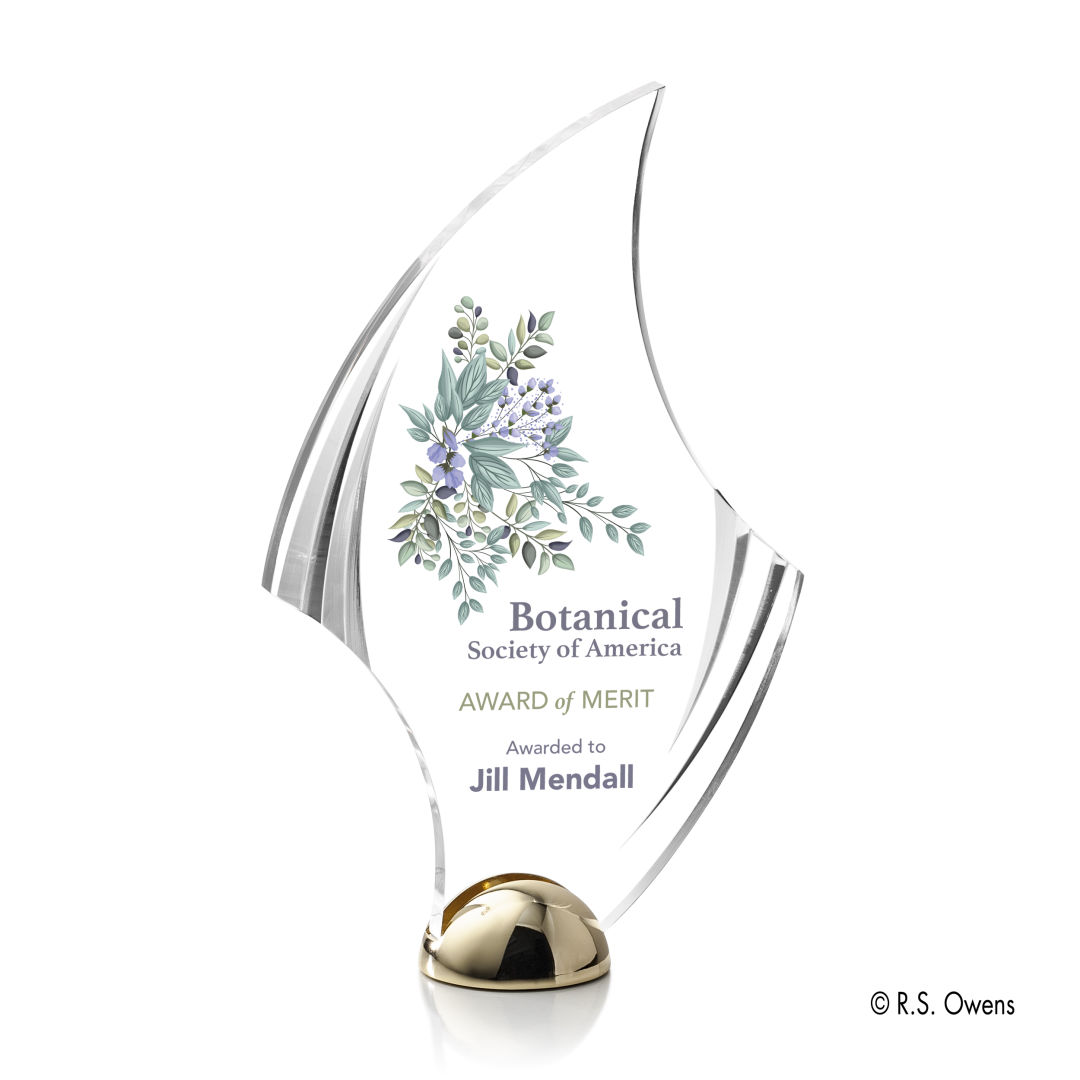Flourish Hemisphere VividPrint™ Award 13