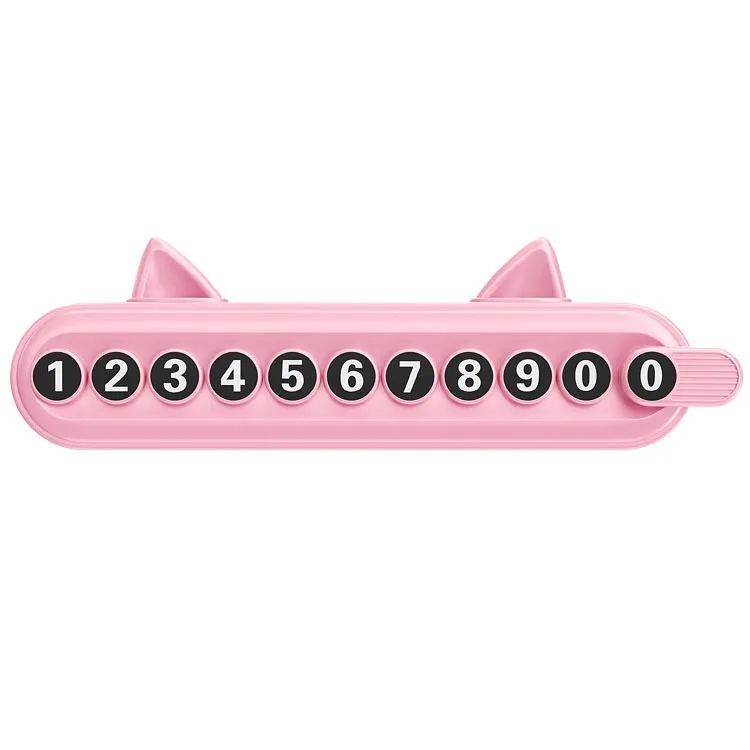 Temporary Parking Number Plate 9