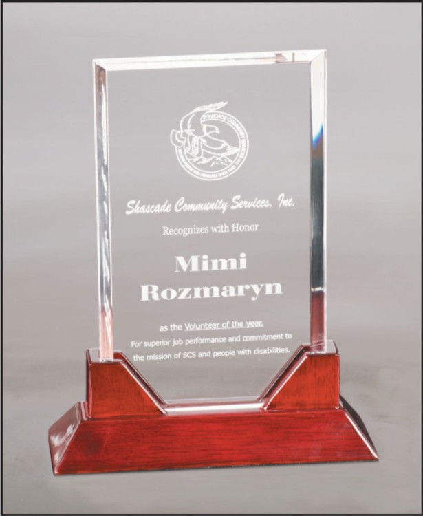 9 3/4" Prestige Rectangle Acrylic Award 2