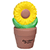 Sunflower In Pot Stress Reliever 1