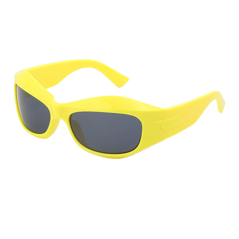 Punk Sunglasses 3