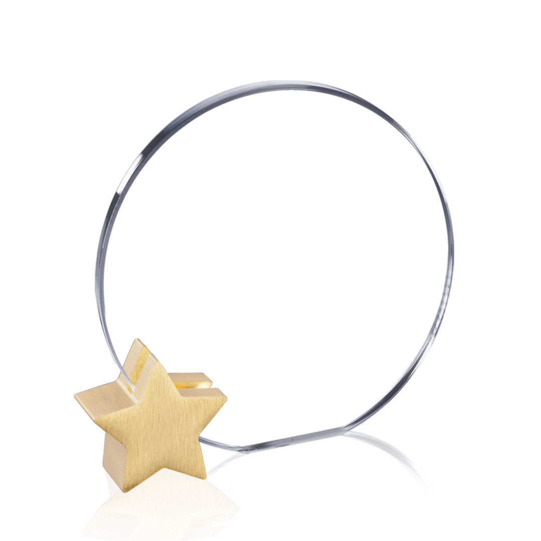 Verdunn Award - Starfire/Gold Star 5
