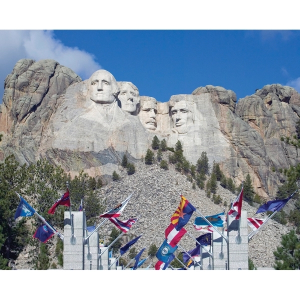 50 State Flag Collection 8' x 12' 2