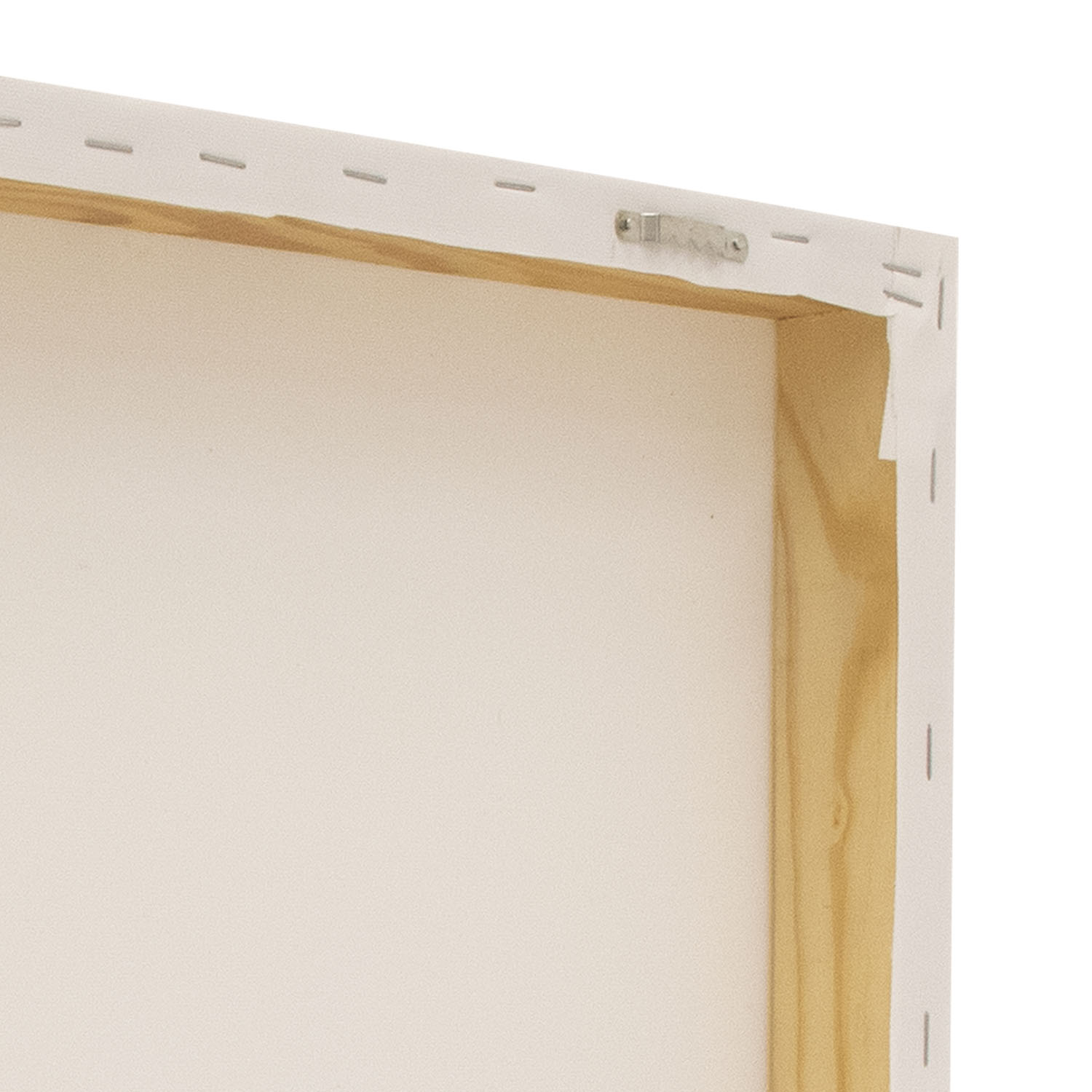 36" x 60" Canvas Print 1