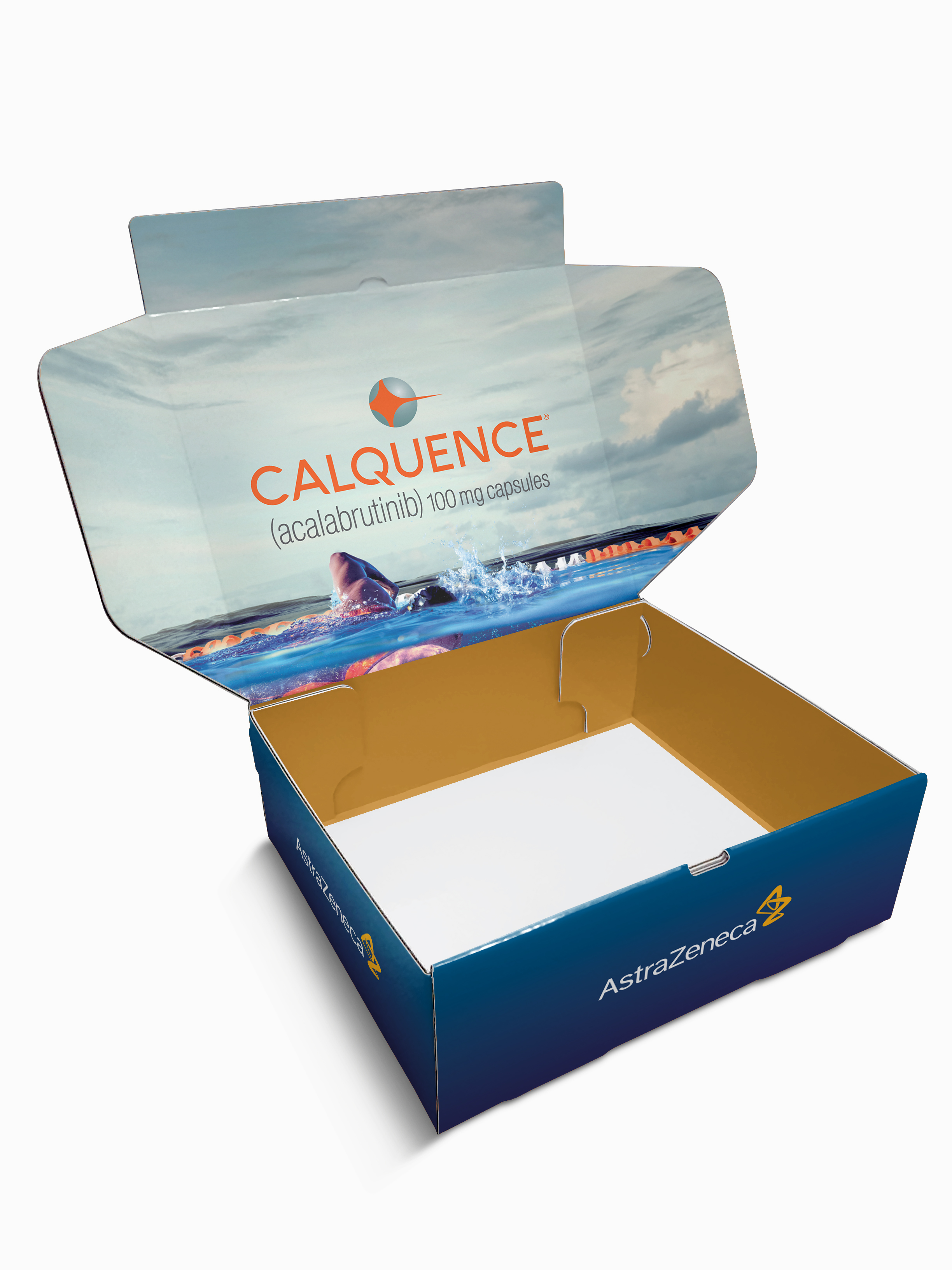 Presentation & Mailer Boxes *Includes Full Color & High Gloss Finish 3