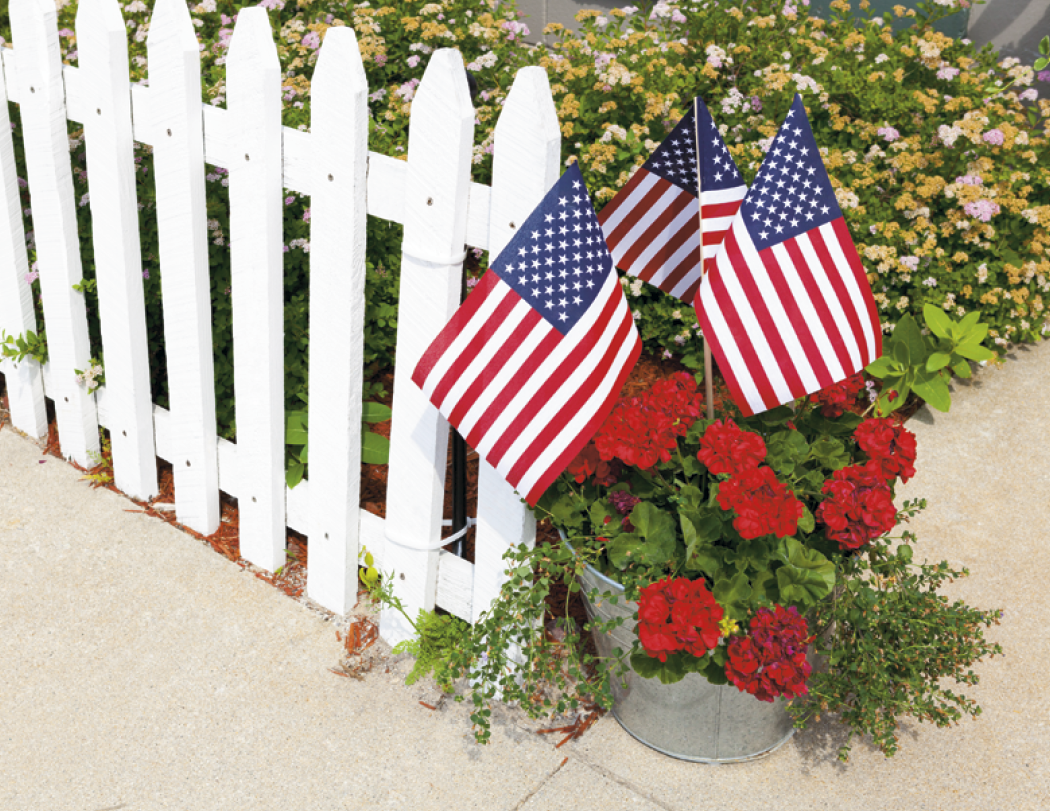 Good Value™ Celebrate America - Spiral Calendar 54