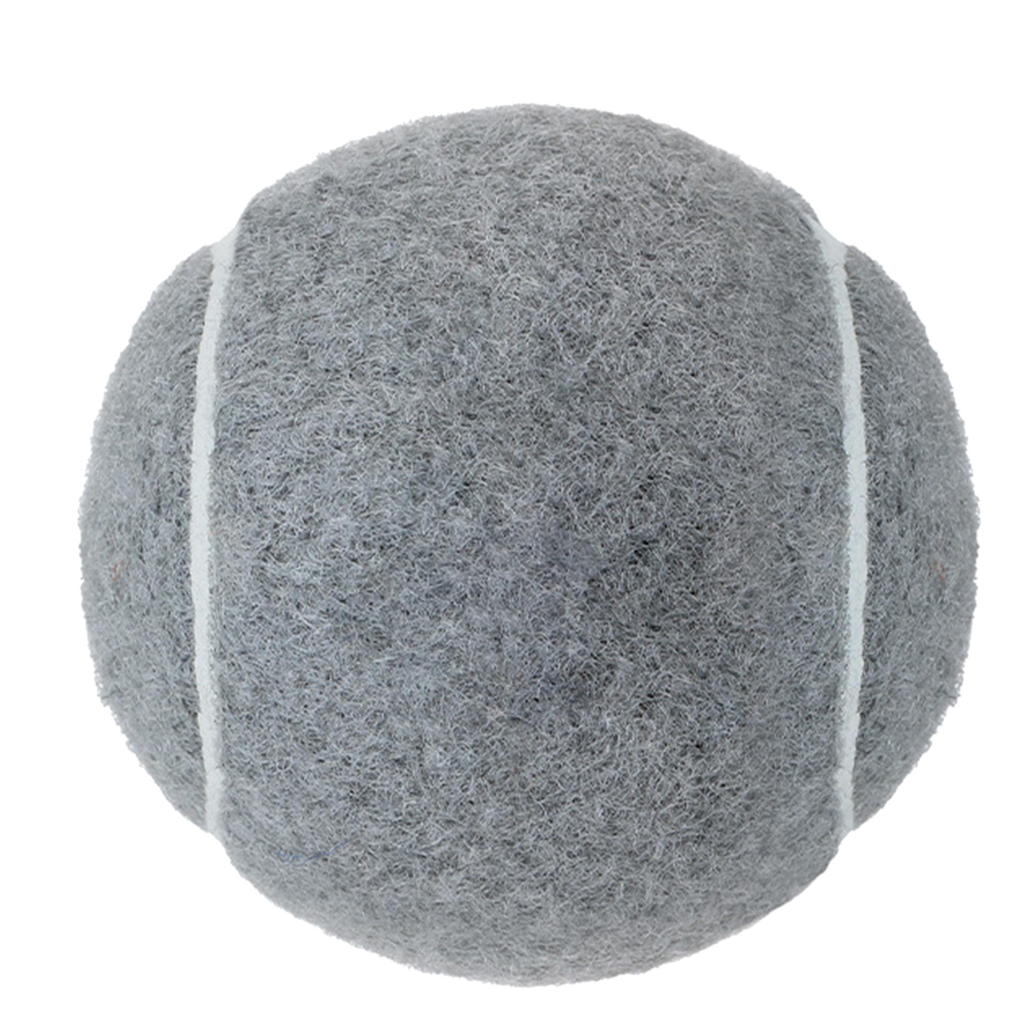 Customizable Dog Play Ball 31