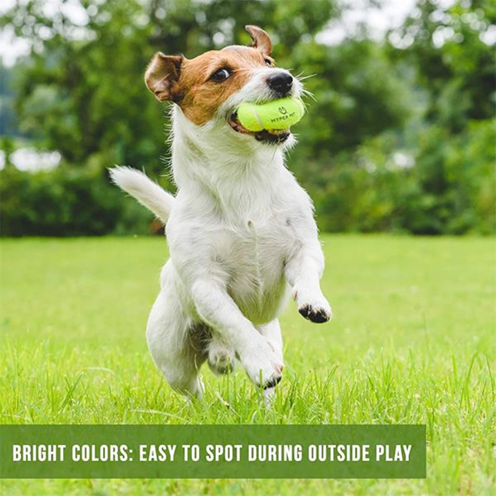Pet Fetch Toy Tennis Ball 2