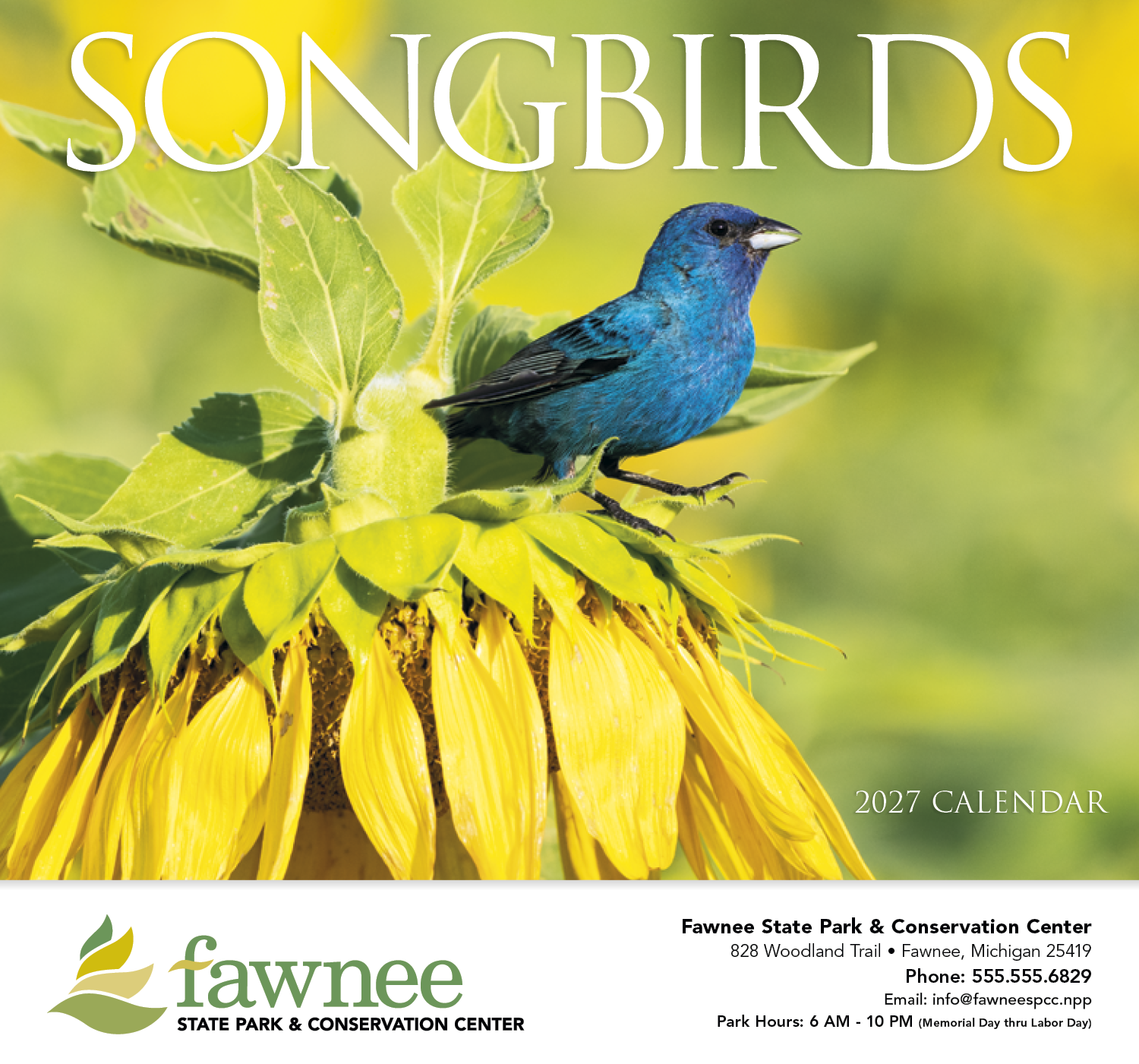 HotLine® Products Songbirds Appointment Calendar - Stapled 28