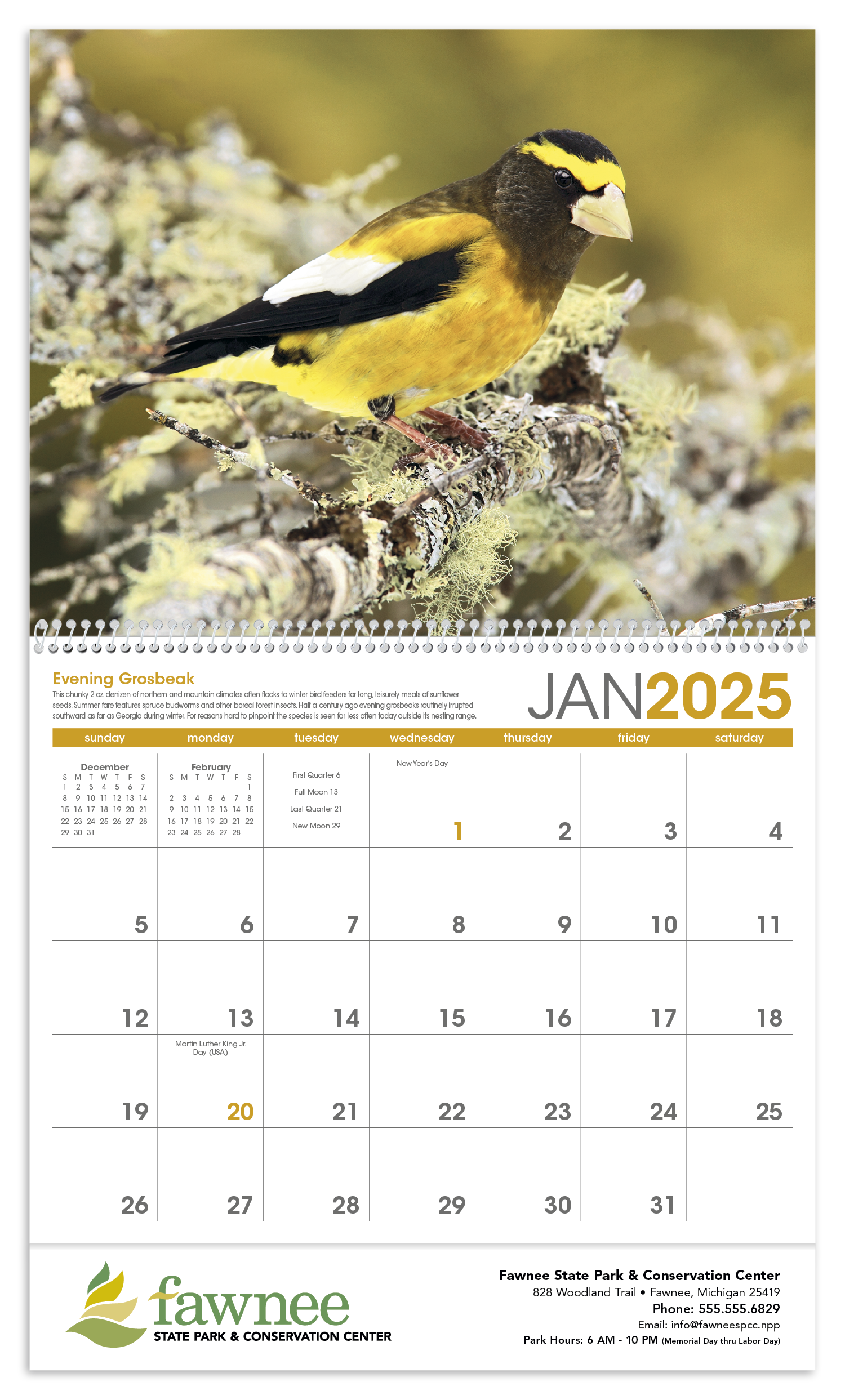 Triumph® Calendars Birds Calendar 21