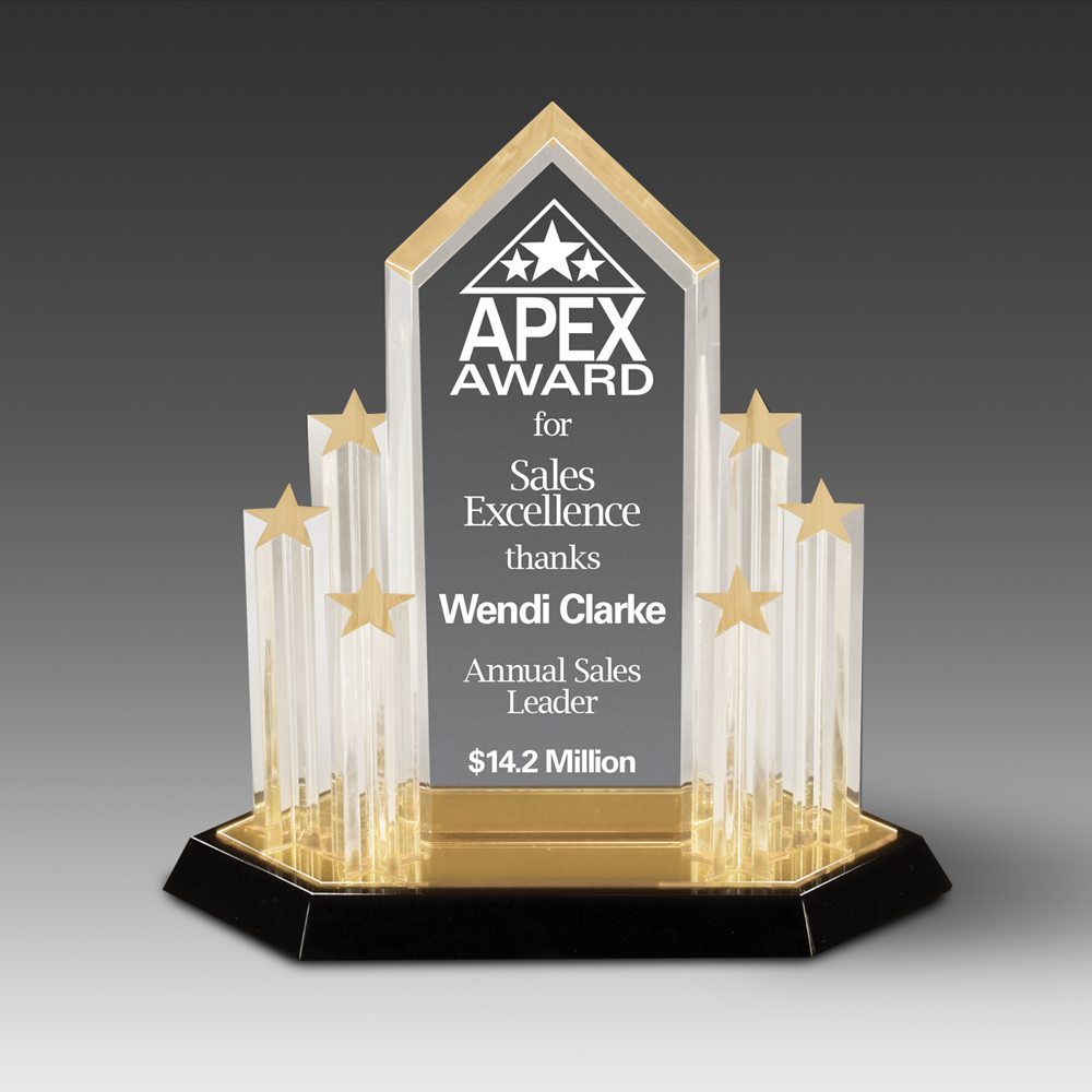 Stellar Performance Outstanding Achievement Award (11"x11") 1