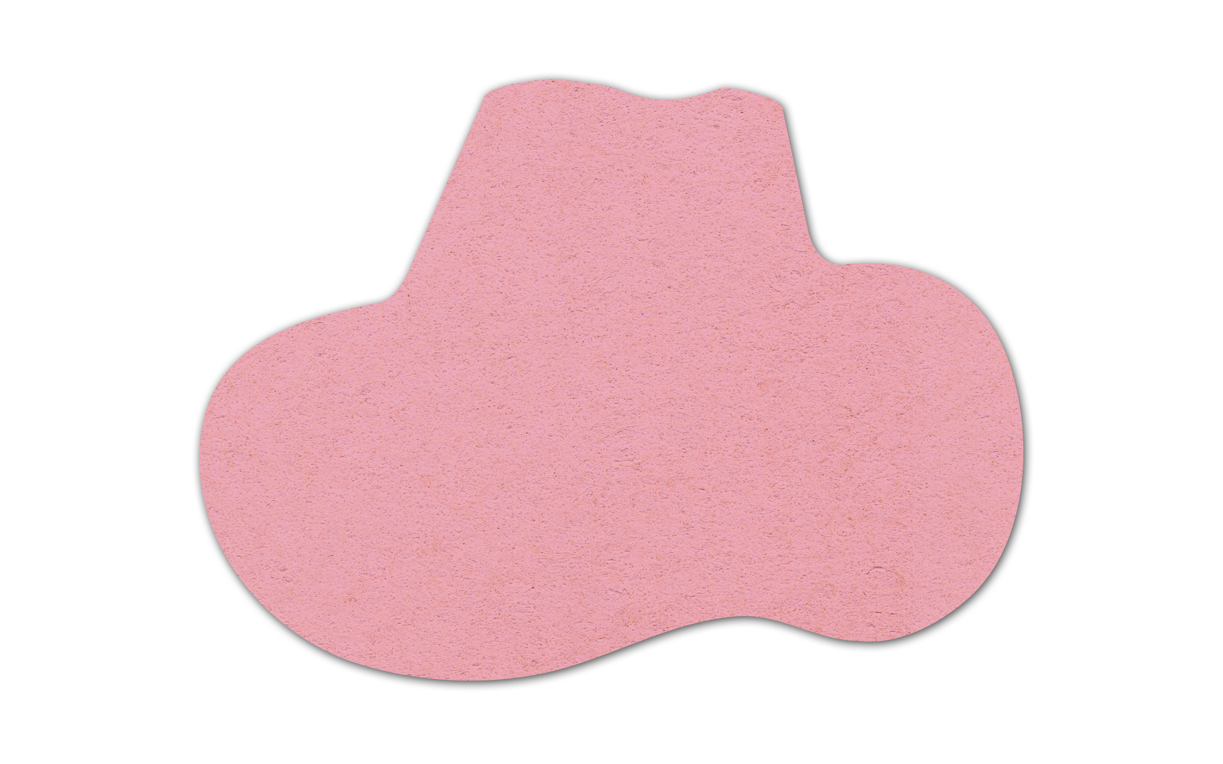 Cowboy Hat Compressed Sponge 3