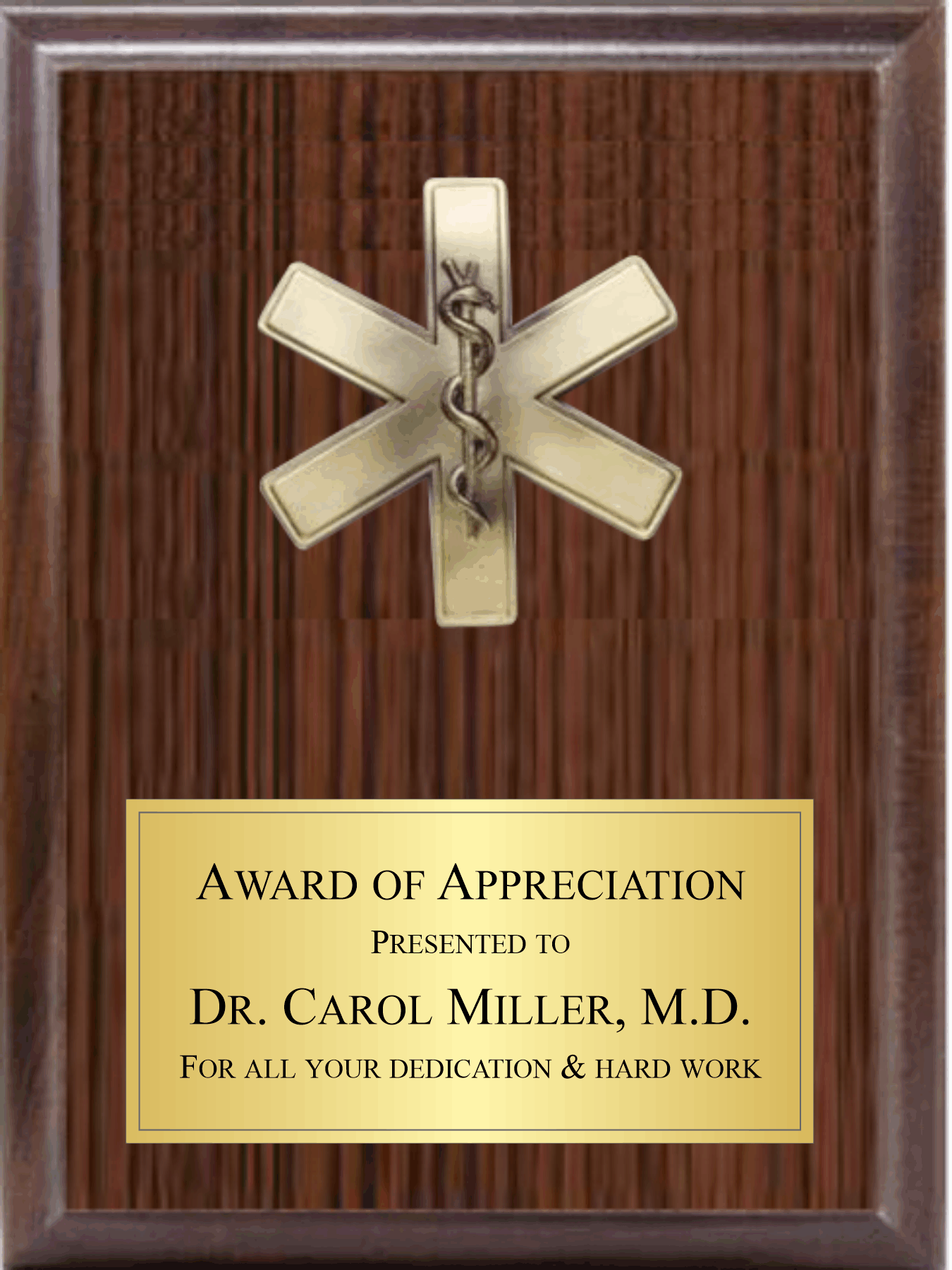 5" Star Of Life On Plaque 3
