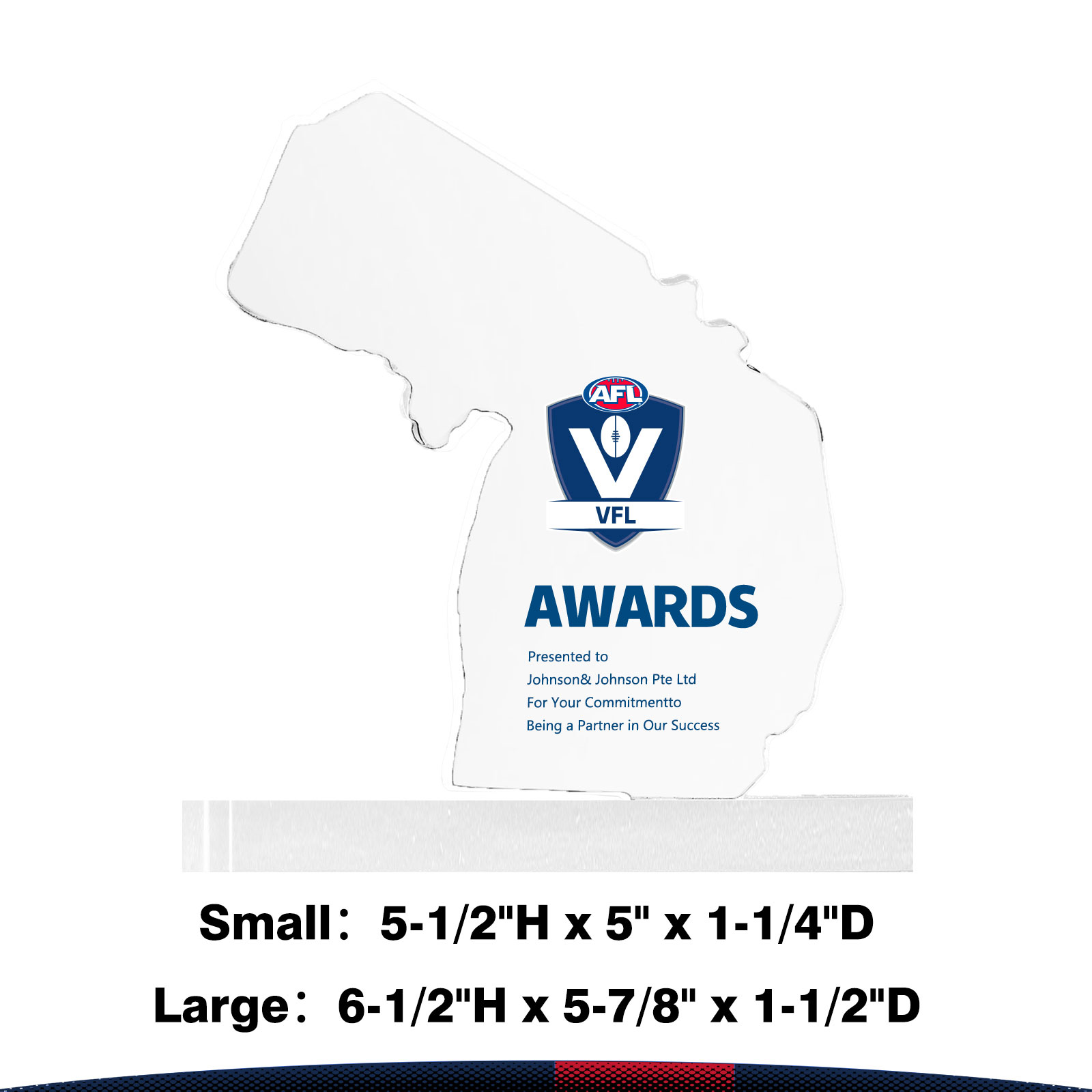 Grila Michigan Crystal Award 4