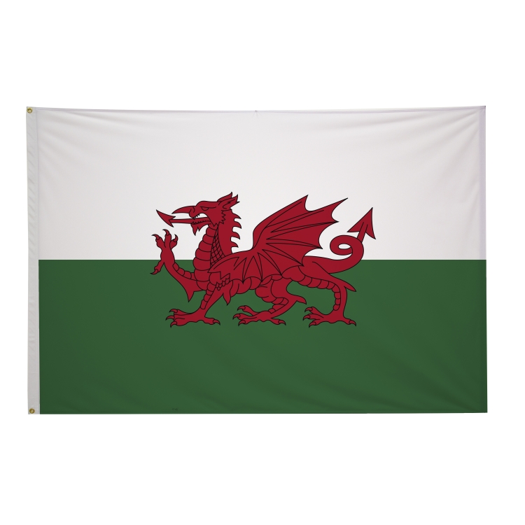 4' x 6' International Flags 104