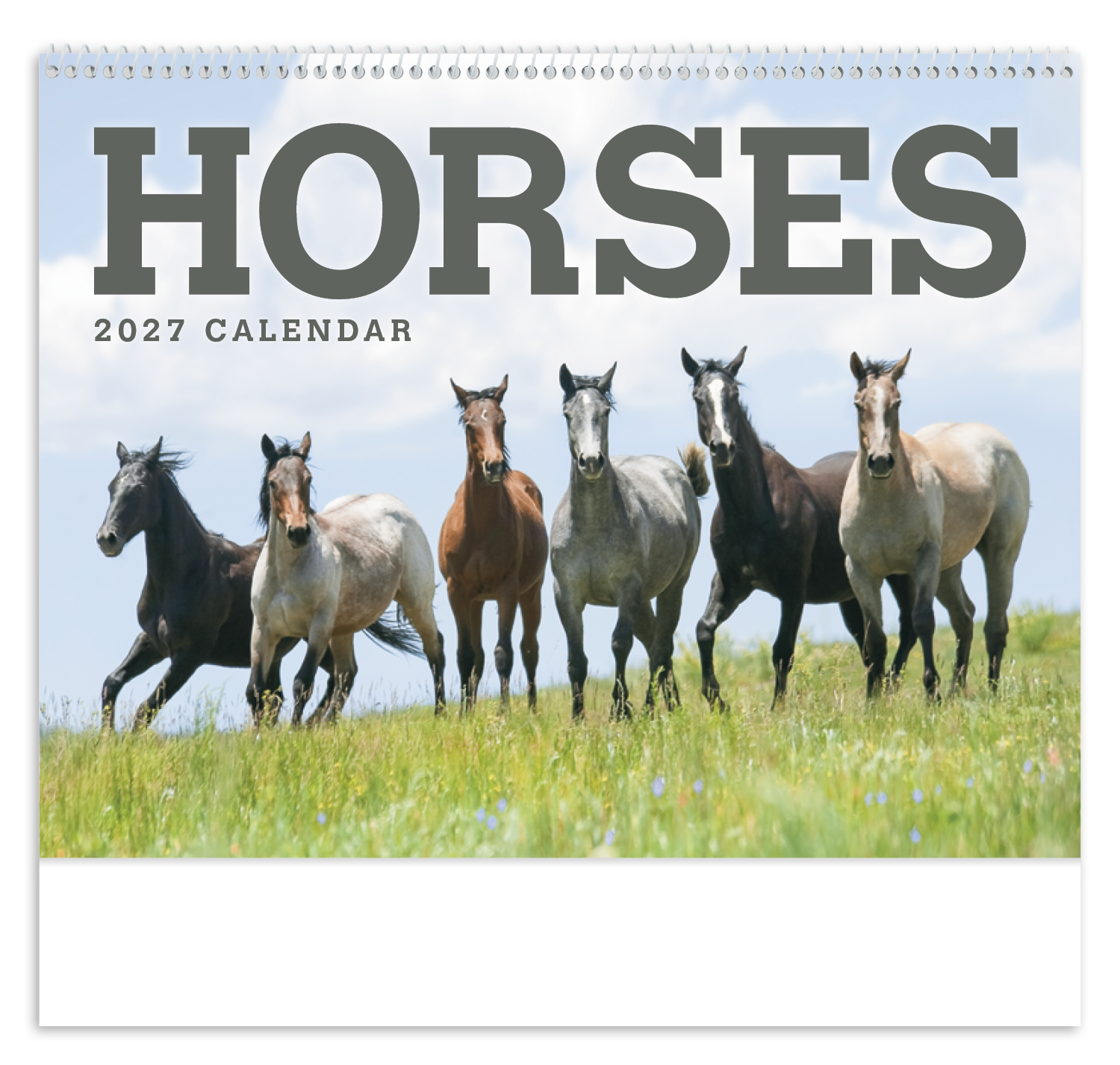 Triumph® Calendars Horses Calendar 53