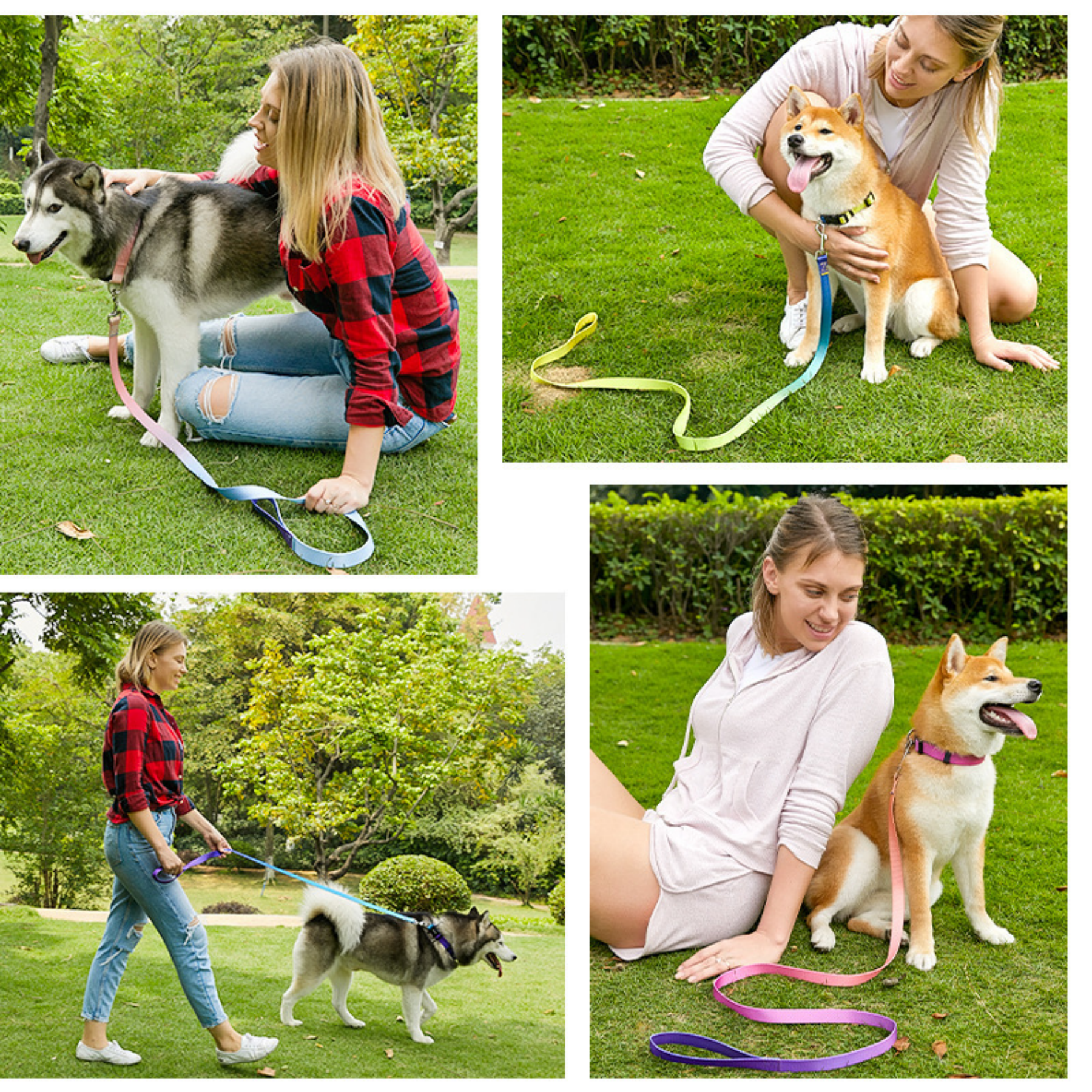 Dog Collar,8 Colors, Breathable Nylon Pet Collar Adjustable 3