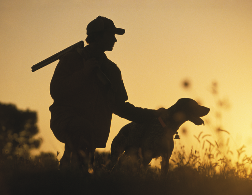 Good Value™ Sporting Dogs - Stapled Calendar 32