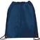 Large Oriole Drawstring Bag 37