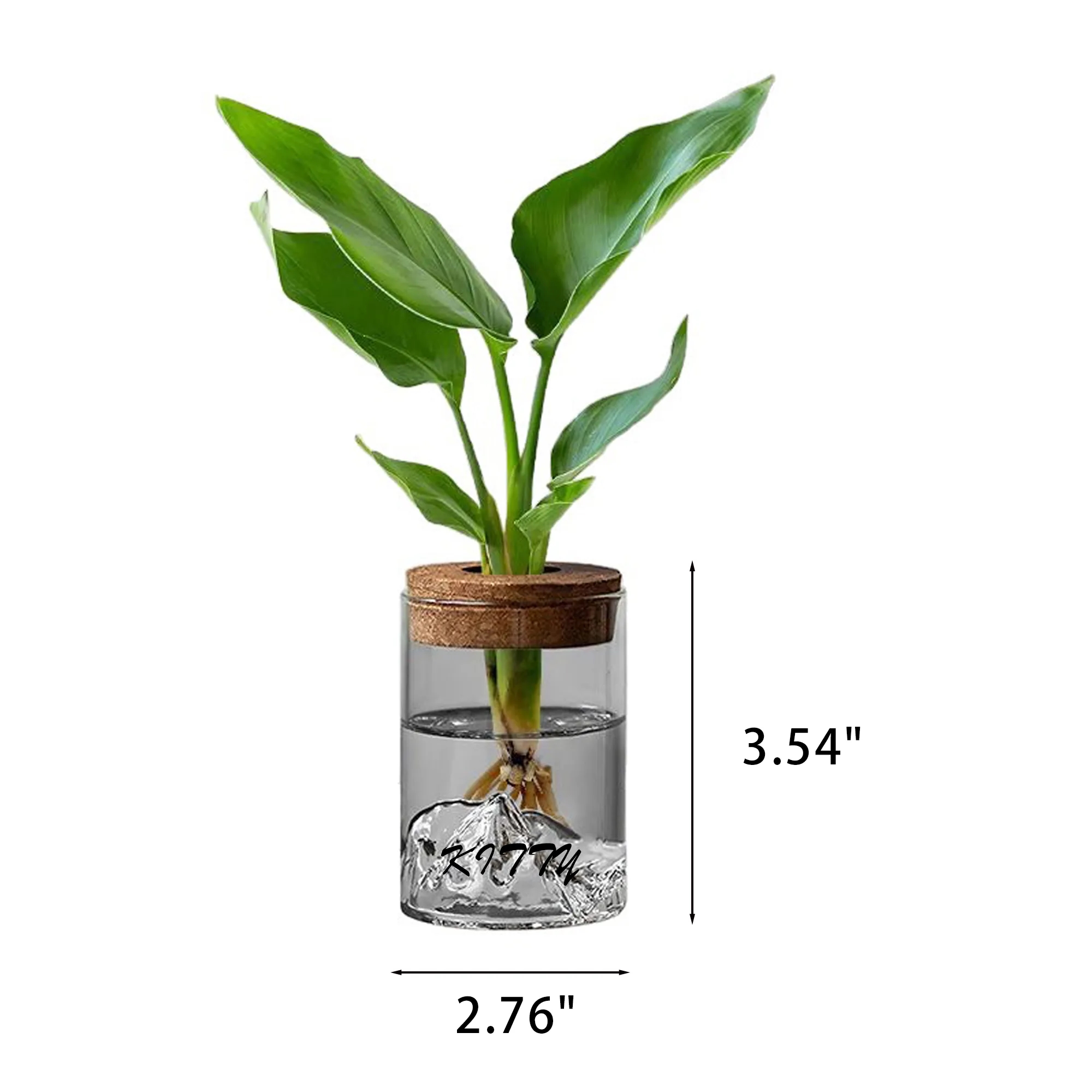 Hydroponic Small Potted Plant 4
