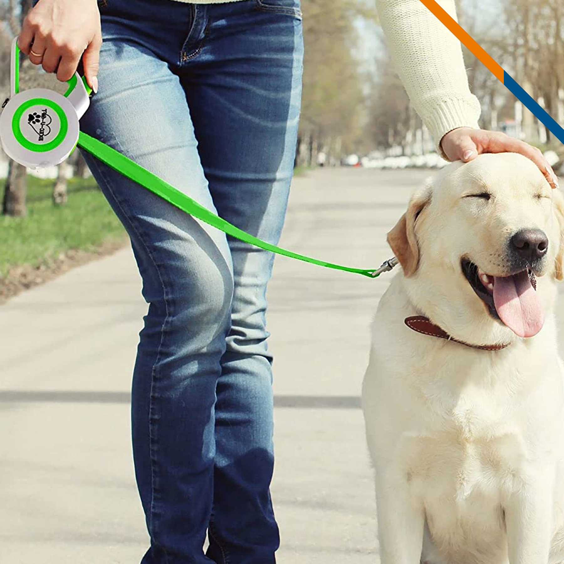 Viden Retractable Dog Leash 3