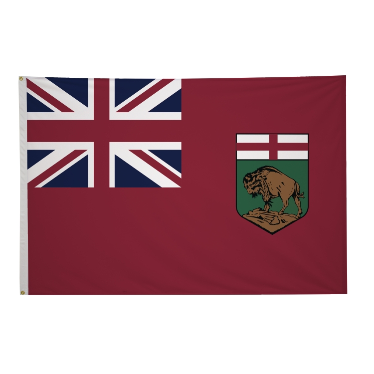 4' x 6' International Flags 100