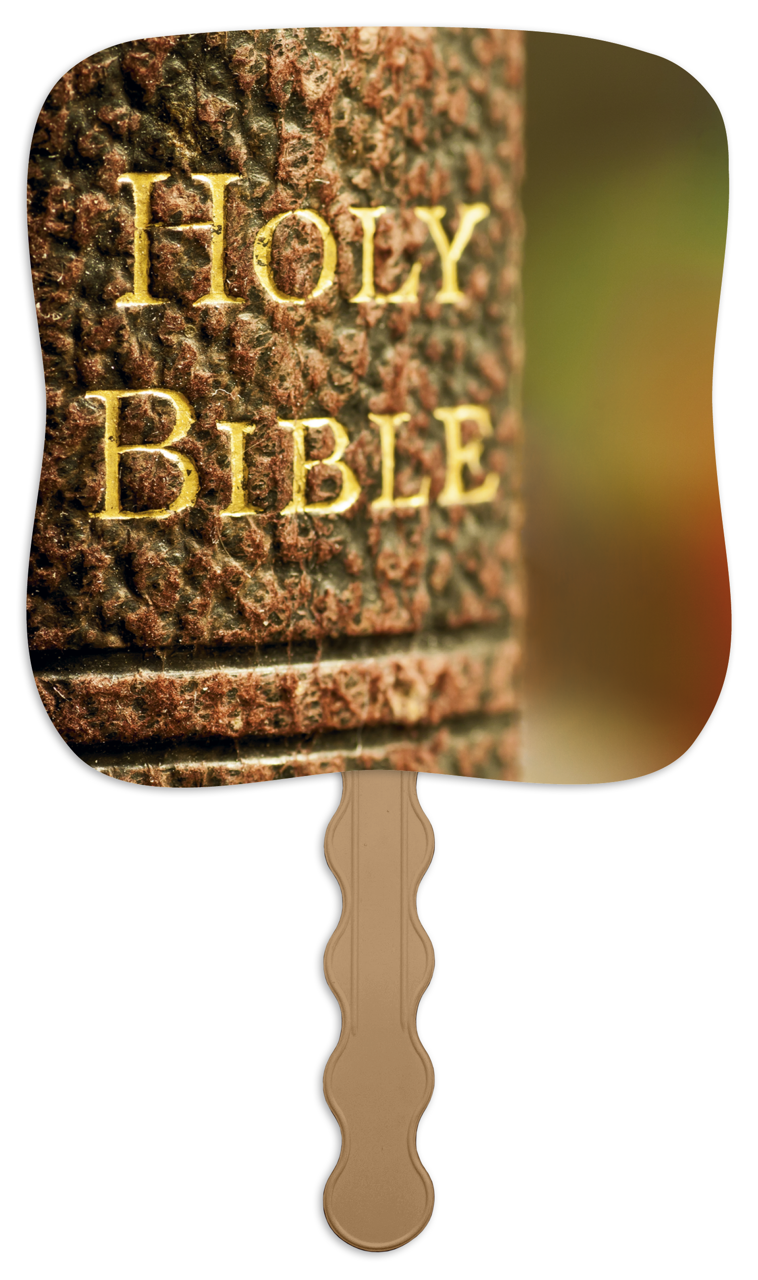 Skinner & Kennedy® Holy Bible - Pictorial Fan 10