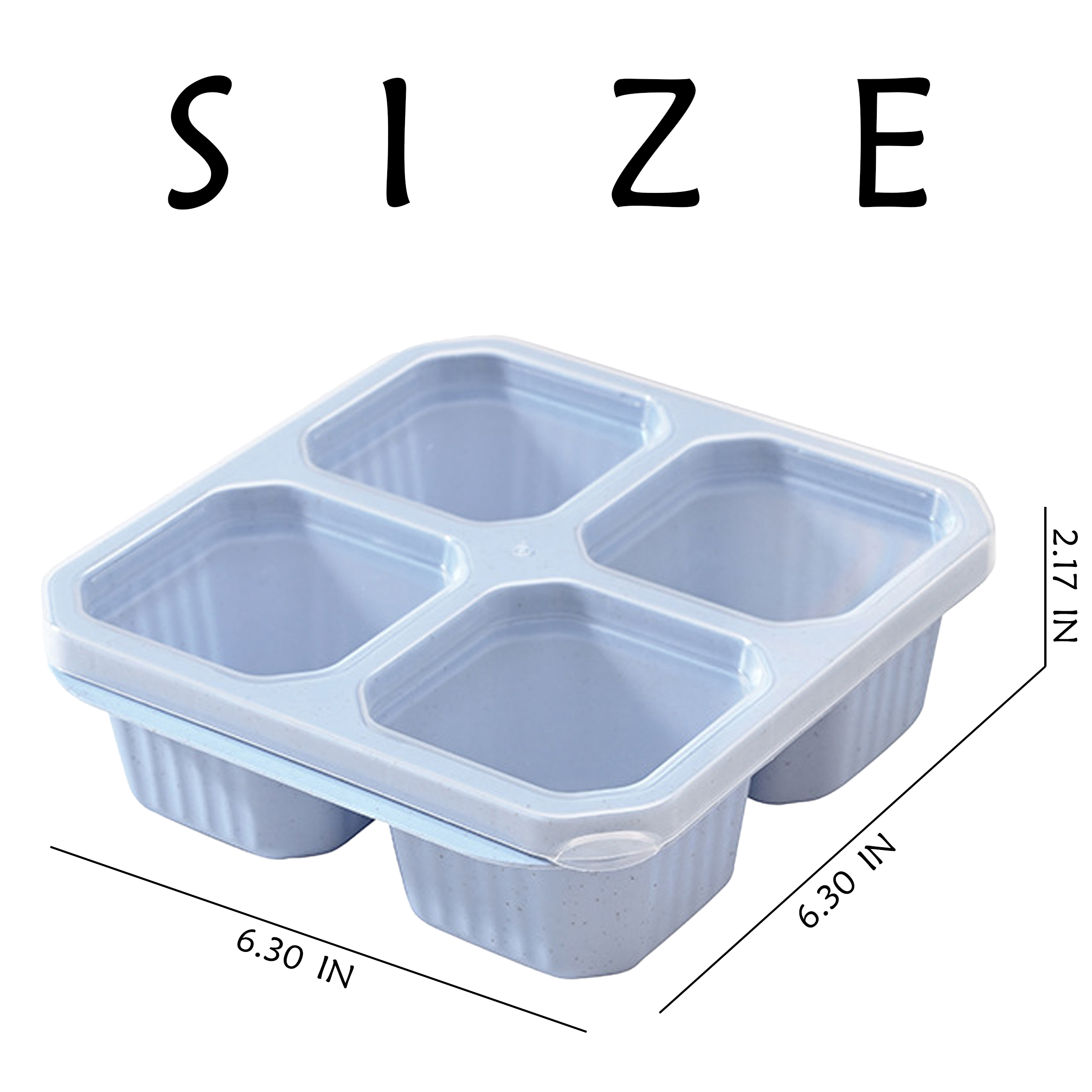 Plastic Divided Sealed Fresh-Keeping Box 6