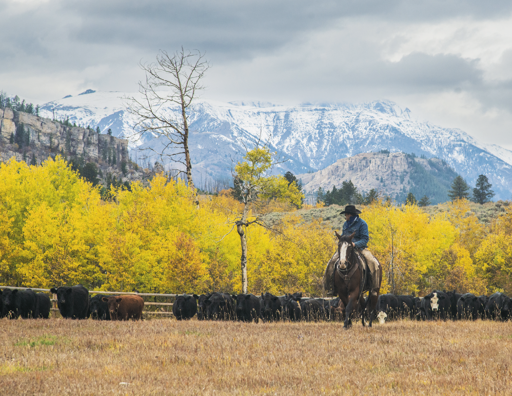 Triumph® Calendars Visions of the West Calendar 12