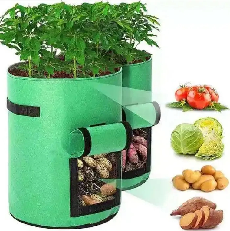 5 Gal Vegetable Grow Bag 2
