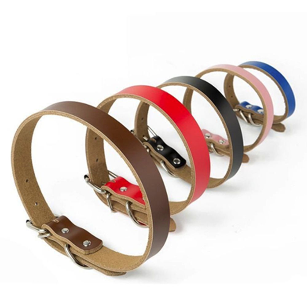 Adjustable Pet Collar Dog Leash 2