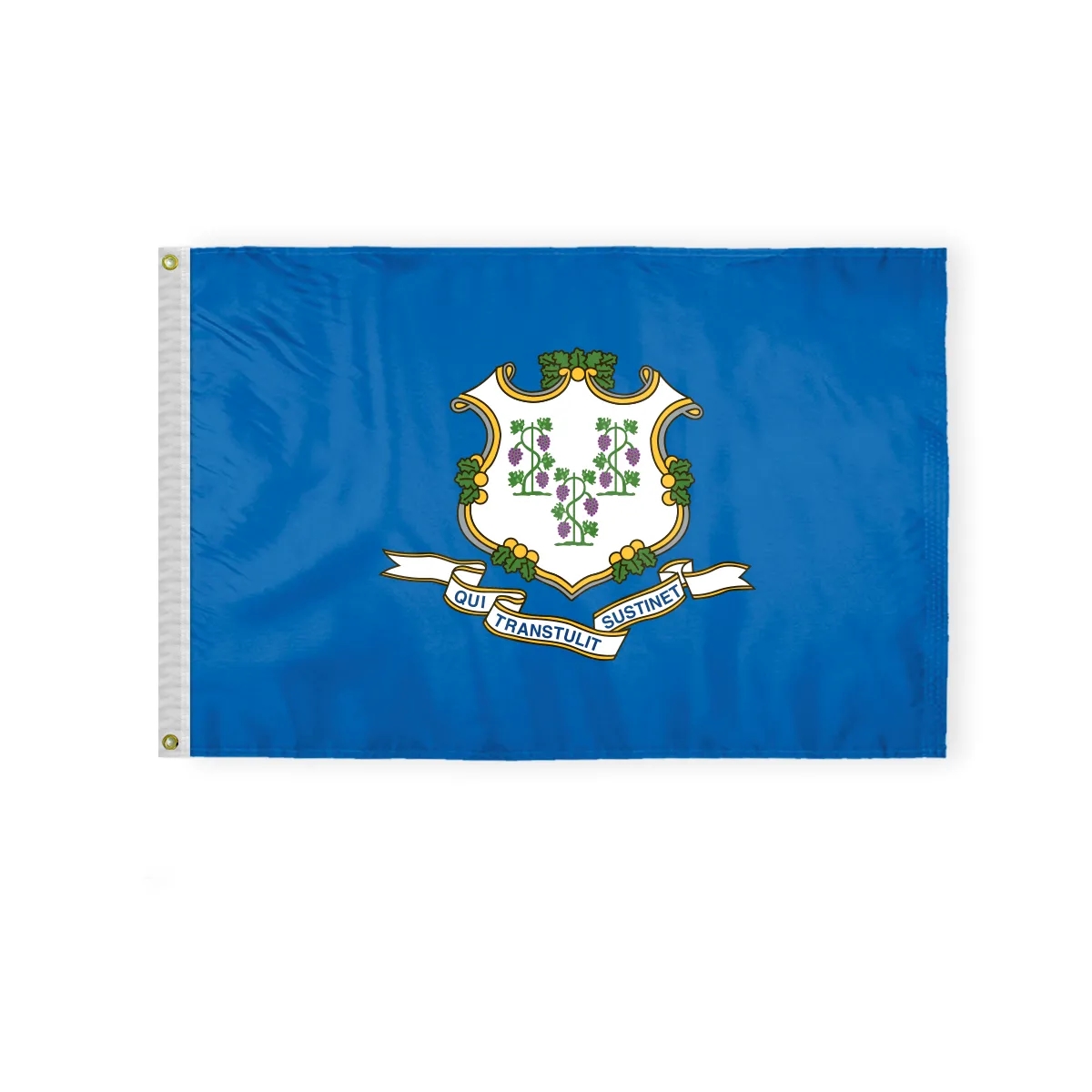 12"x18" to  8'x12'  Connecticut Nylon Flags 7