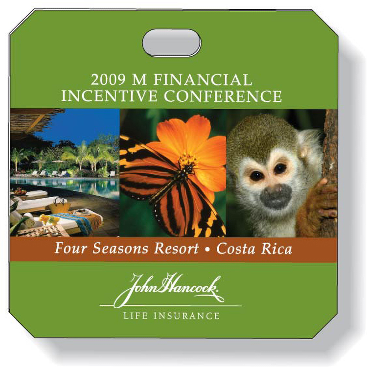 Custom Shaped .010 White Plastic Items (24 Sq/In), Full Colour & Varnish