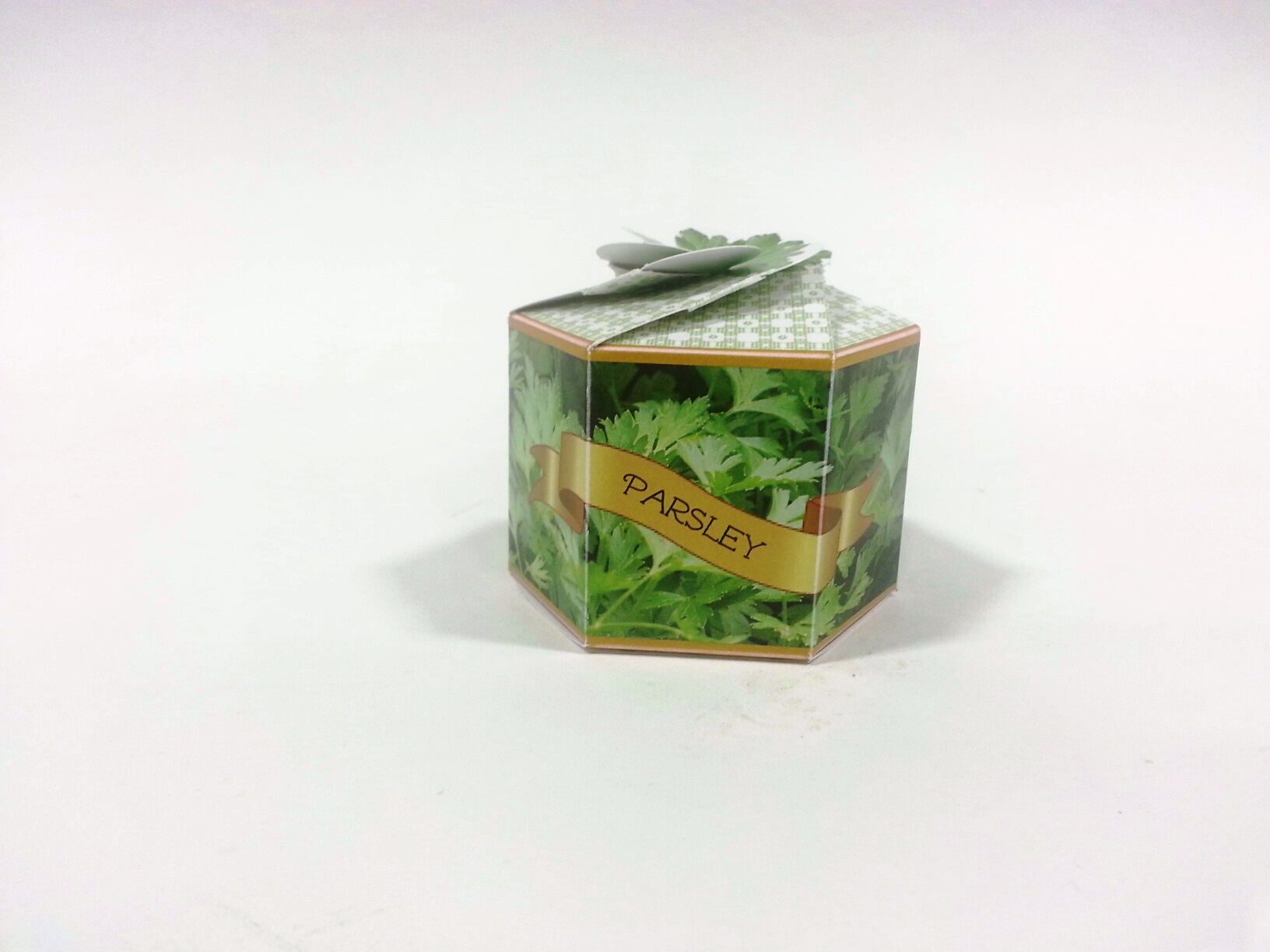 Parsley Herb SeedGems Paper Planter - Biodegradable grow kit 2
