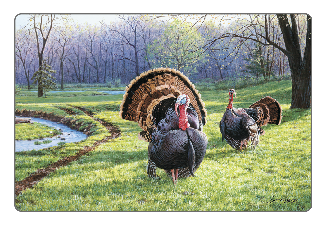 Triumph® Calendars Wildlife Art Pocket Calendar 55