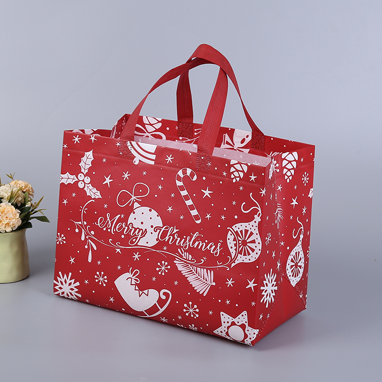 Multifunctional Non-Woven Christmas Bags 10